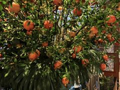 -八府香鸭·啫啫煲(华山路店)