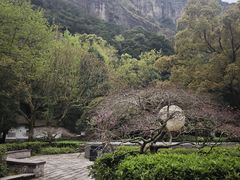 -雁荡山风景名胜区