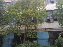 -济南轻骑摩托车有限公司(和平路)