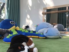 -小象托育