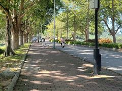 -风云岭森林公园