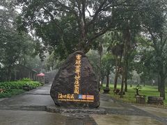 -海口火山口国家地质公园