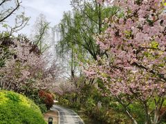 -云龙湖旅游景区