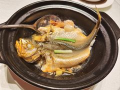 原创清煮黄花鱼-悦景酒家(福田店)