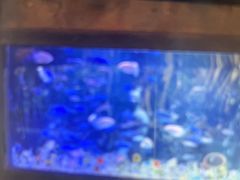 -华夏文旅西安度假区