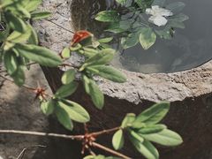 -昆明柏联SPA温泉