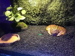 -梦幻海洋王国(吾悦广场张家港店)