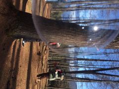 -硗碛藏寨·神木垒景区