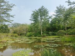 -中国科学院西双版纳热带植物园