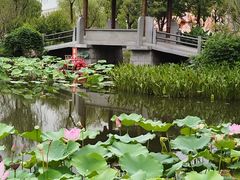 -武汉园博园(武汉自然博物馆)
