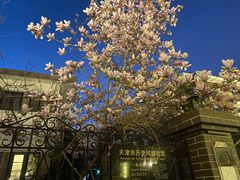 -天津五大道文化旅游区