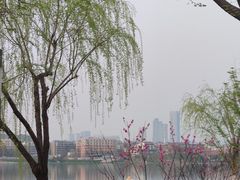 -老欧洲咖啡·西餐(后湖店)