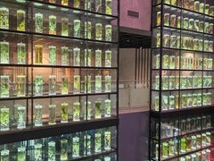 -广东中医药博物馆
