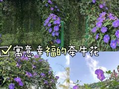 -中国科学院华南植物园