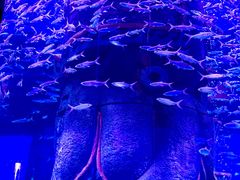 -波塞冬旅游度假区