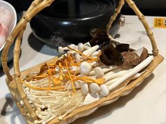 -无界釜·河豚鱼汤锅(红山动物园店)