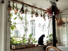 -海边的猫和咖啡馆
