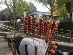 -后海公园