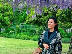 -嘉定紫藤园