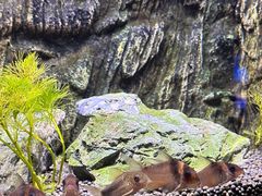 -上海海洋水族馆