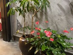 -紫腾大院·南京菜(江宁店)