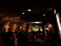 -木乃伊复仇过山车