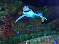 -青岛嘉年华主题乐园