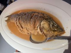 红烧黄河大鲤鱼-阿庄新豫菜(通泰路店)
