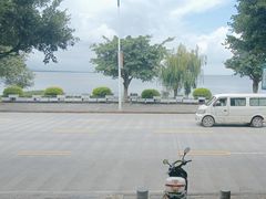 -野菌皇海景野生菌火锅(滨海大道店)