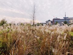 -苏州湾王焰温泉度假酒店