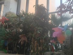 -悦隆庄温泉度假酒店