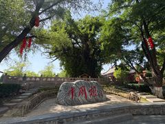 -大槐树寻根祭祖园