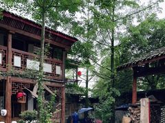 -青城甲(青城山店)