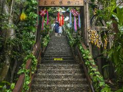 -西双版纳原始森林公园