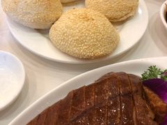 -九花山烤鸭店