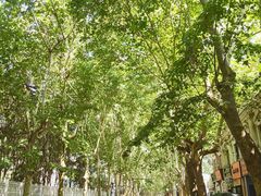 -雕刻时光咖啡馆(师大路店)