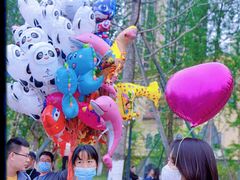 -府河摄影公园