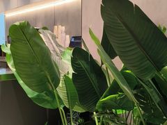 -KOI Thé(南坪协信星光时代广场店)