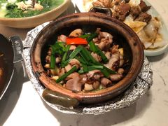 -大榕树下顺德菜(融创茂店)