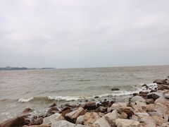 -野狸岛