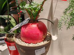 -blt精品超市(南京环宇城店)