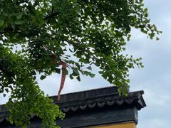 -木渎古镇