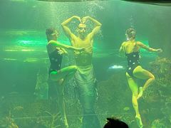 -大明湖海底世界
