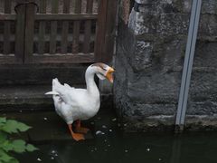 -苏州碑刻博物馆