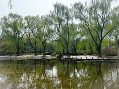-玲珑塔公园