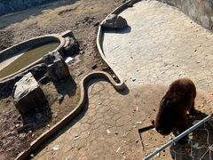 -无锡动物园·太湖欢乐园
