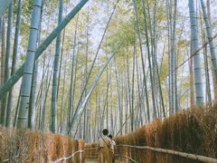 -宁波浙东大竹海景区