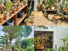-自由生长植物工作室(深港花卉中心店)