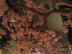 -桂满陇-西湖船宴(西单大悦城店)