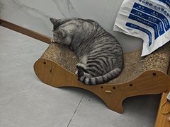-宠欣安宠物医院·包河区中心医院